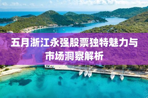 五月浙江永強(qiáng)股票獨(dú)特魅力與市場洞察解析