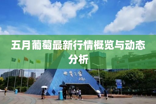 五月葡萄最新行情概覽與動態(tài)分析