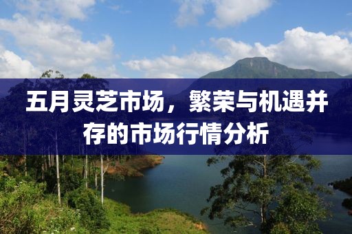 五月靈芝市場，繁榮與機遇并存的市場行情分析