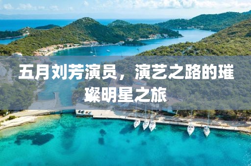 五月劉芳演員，演藝之路的璀璨明星之旅
