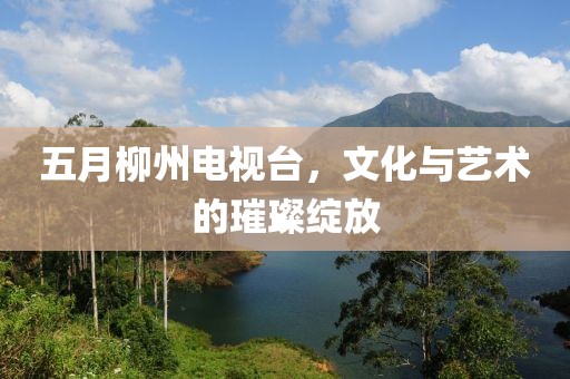 五月柳州電視臺，文化與藝術的璀璨綻放
