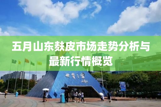 五月山東麩皮市場走勢分析與最新行情概覽