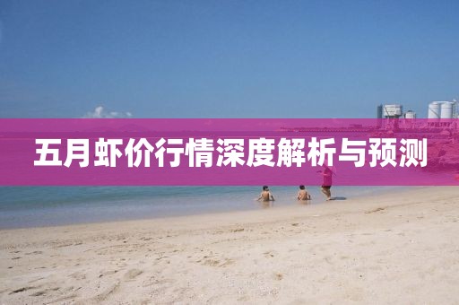 五月蝦價行情深度解析與預測