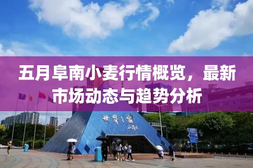 五月阜南小麥行情概覽，最新市場(chǎng)動(dòng)態(tài)與趨勢(shì)分析