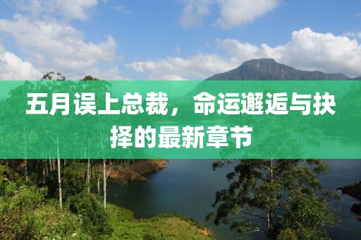 五月誤上總裁，命運邂逅與抉擇的最新章節(jié)