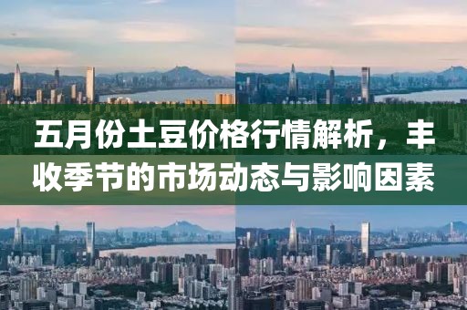 五月份土豆價格行情解析，豐收季節(jié)的市場動態(tài)與影響因素