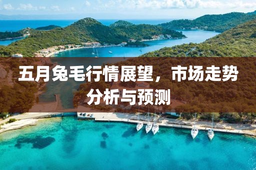 五月兔毛行情展望，市場走勢分析與預測