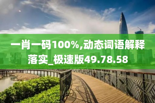 一肖一碼100%,動態(tài)詞語解釋落實_極速版49.78.58