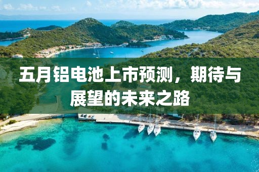 五月鋁電池上市預(yù)測(cè)，期待與展望的未來(lái)之路