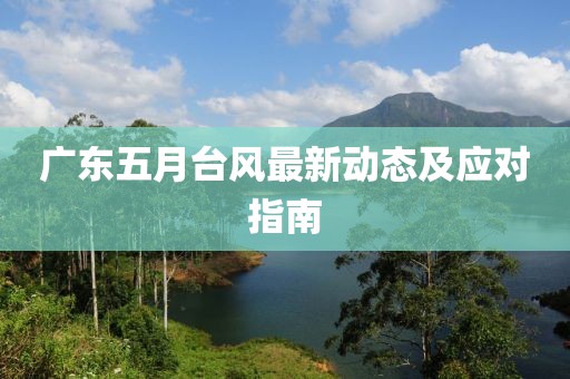 回轉(zhuǎn)馬達(dá) 第17頁