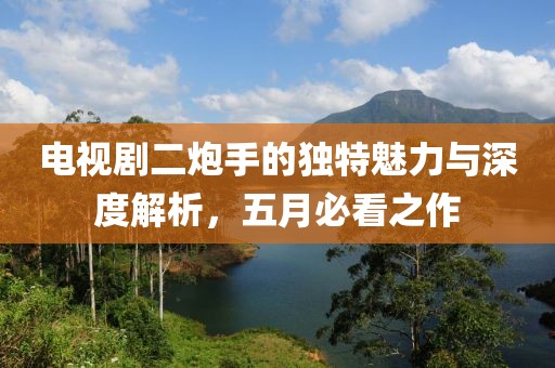 電視劇二炮手的獨(dú)特魅力與深度解析，五月必看之作