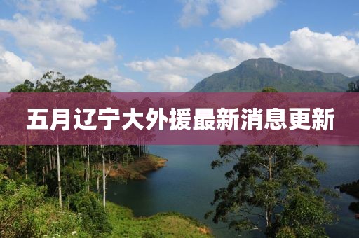 五月遼寧大外援最新消息更新