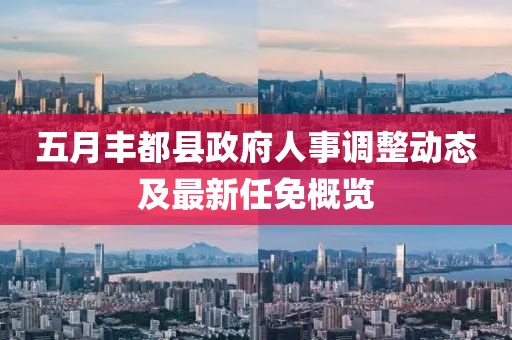 五月豐都縣政府人事調(diào)整動(dòng)態(tài)及最新任免概覽