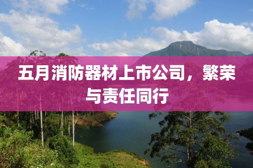五月消防器材上市公司，繁榮與責(zé)任同行