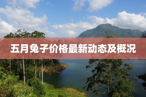 邱昊