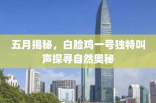 五月揭秘，白臉雞一號獨(dú)特叫聲探尋自然奧秘