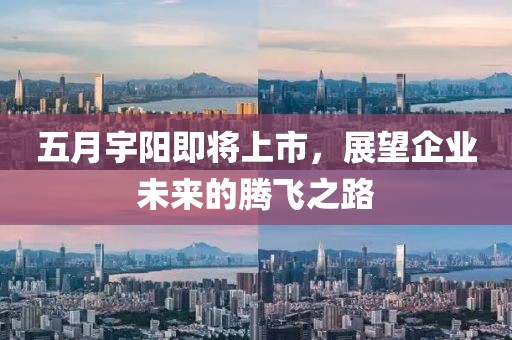 五月宇陽即將上市，展望企業(yè)未來的騰飛之路