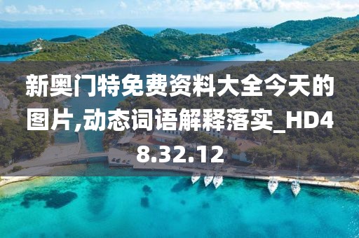 新奧門特免費(fèi)資料大全今天的圖片,動態(tài)詞語解釋落實(shí)_HD48.32.12