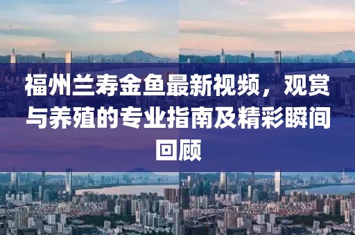 福州蘭壽金魚最新視頻，觀賞與養(yǎng)殖的專業(yè)指南及精彩瞬間回顧