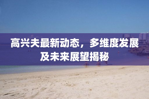 高興夫最新動態(tài)，多維度發(fā)展及未來展望揭秘