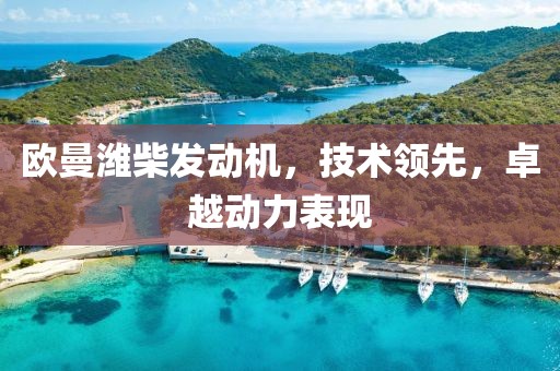 歐曼濰柴發(fā)動(dòng)機(jī)，技術(shù)領(lǐng)先，卓越動(dòng)力表現(xiàn)