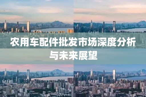 農(nóng)用車配件批發(fā)市場深度分析與未來展望