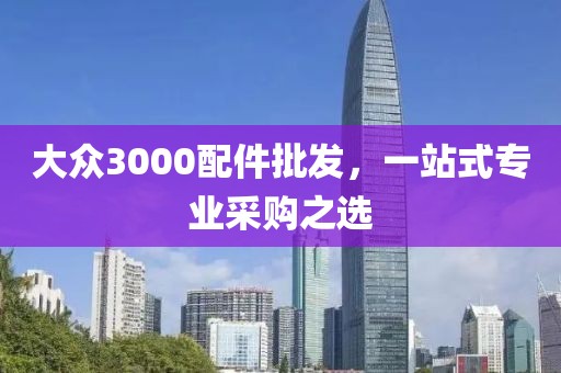 大眾3000配件批發(fā)，一站式專業(yè)采購之選