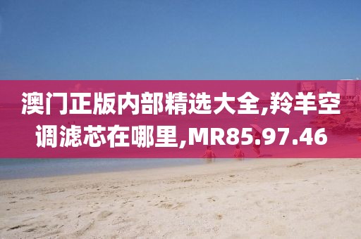 澳門正版內部精選大全,羚羊空調濾芯在哪里,MR85.97.46