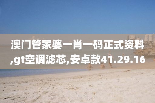 澳門管家婆一肖一碼正式資料,gt空調(diào)濾芯,安卓款41.29.16