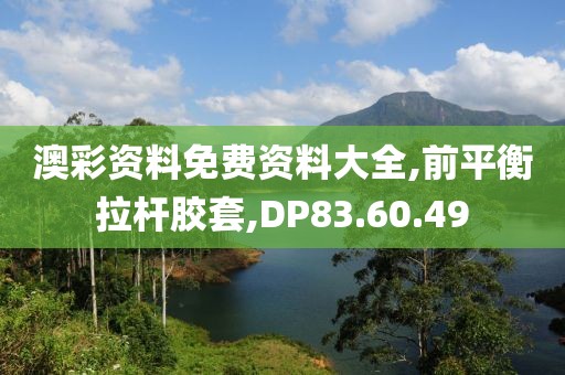 澳彩資料免費資料大全,前平衡拉桿膠套,DP83.60.49