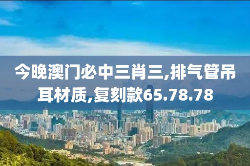 今晚澳門必中三肖三,排氣管吊耳材質(zhì),復刻款65.78.78
