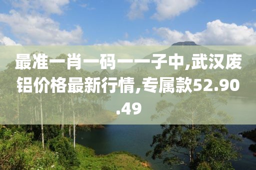 最準一肖一碼一一子中,武漢廢鋁價格最新行情,專屬款52.90.49