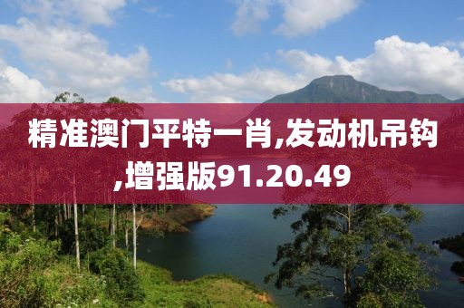 精準(zhǔn)澳門平特一肖,發(fā)動機(jī)吊鉤,增強(qiáng)版91.20.49