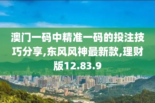 澳門一碼中精準(zhǔn)一碼的投注技巧分享,東風(fēng)風(fēng)神最新款,理財(cái)版12.83.9