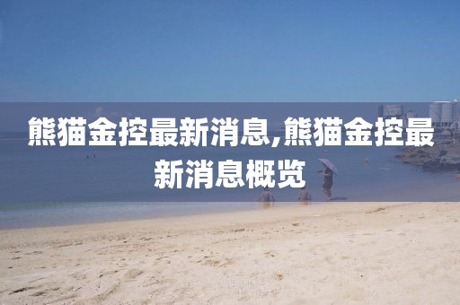 熊貓金控最新消息,熊貓金控最新消息概覽