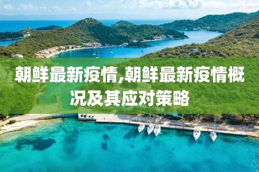 朝鮮最新疫情,朝鮮最新疫情概況及其應(yīng)對(duì)策略