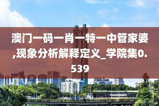 澳門一碼一肖一特一中管家婆,現(xiàn)象分析解釋定義_學(xué)院集0.539
