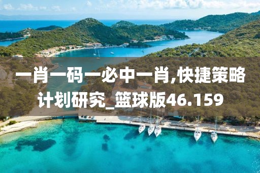 一肖一碼一必中一肖,快捷策略計(jì)劃研究_籃球版46.159