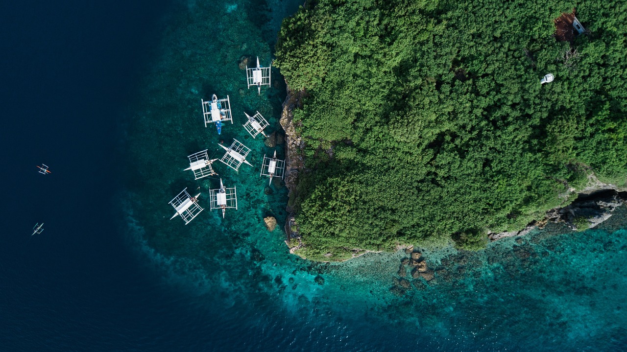 中國(guó)最新金礦探索與發(fā)現(xiàn)之旅
