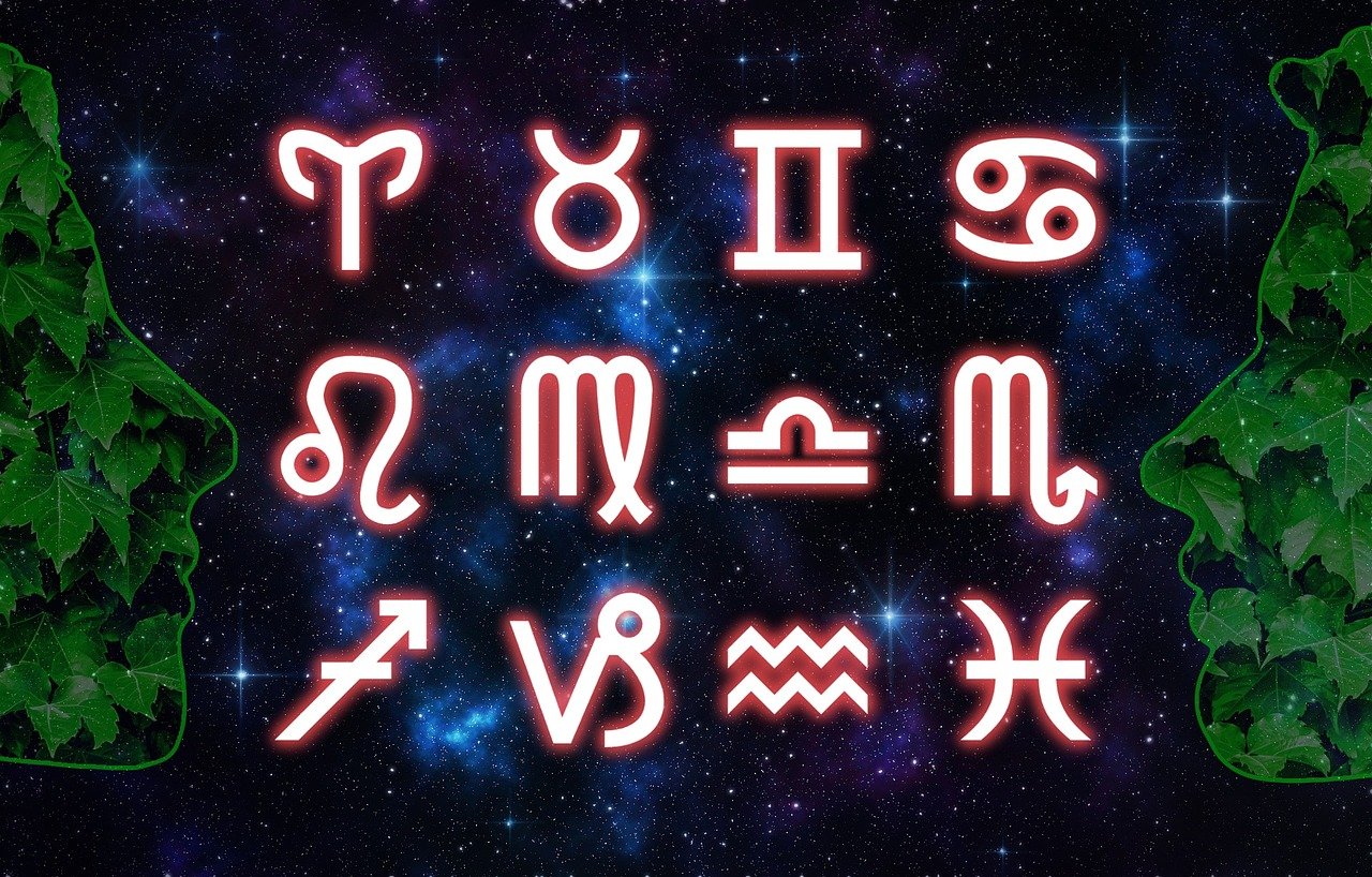 澳門天天彩期期精準(zhǔn)十二生肖，全方位數(shù)據(jù)解析表述，極致版AL684.6189