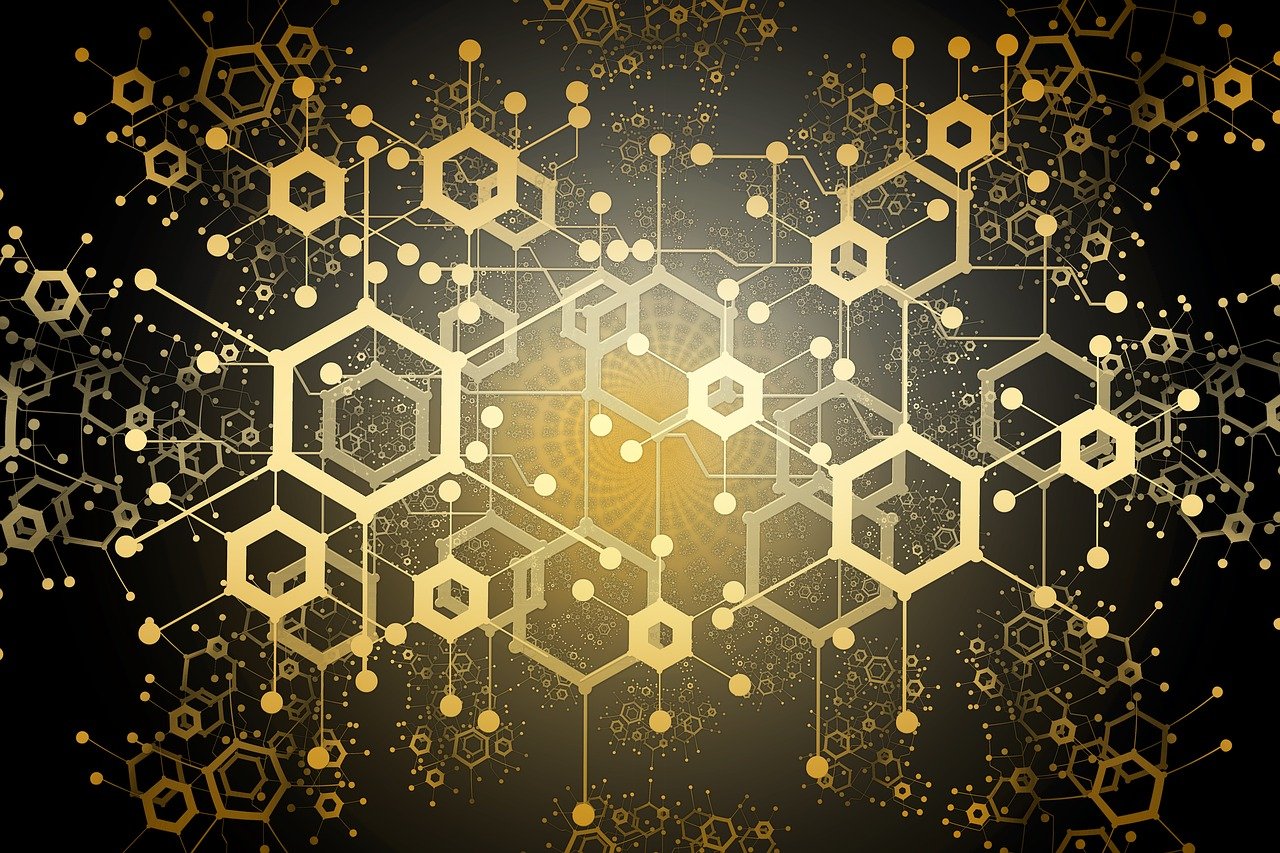 2024年新澳門天天開獎結果，數(shù)據(jù)解讀專業(yè)策略_藝術視界ZOK19.97.87